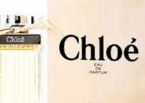 Brand Analysis of Chloe